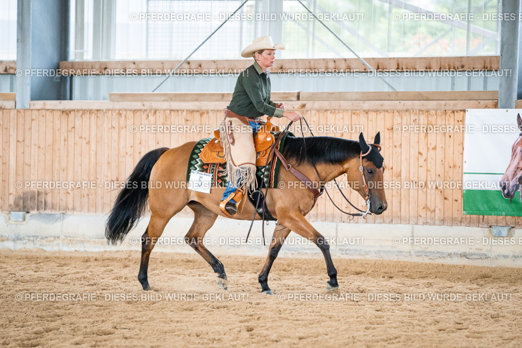 DSC03653 | Pferdegrafie