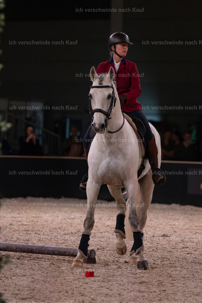 JoseraCup-98 | working equitationturnier fotograf videograf stoibphotography marixx film working equitation deutschland reitsport turnierfotografie eventfotografie equestrian events