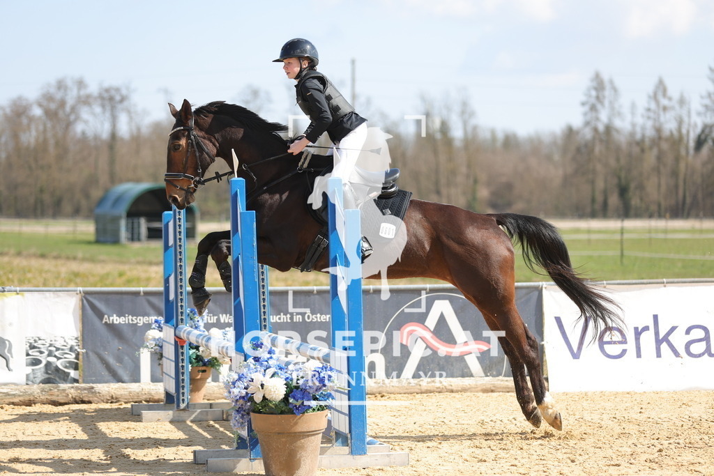 0P6A6943 | Willkommen bei Brunnmayr - Design & Fotografie – Ihrem Spezialisten für Reitturniere und Pferdeveranstaltungen in Oberösterreich, Salzburg und Bayern! Seit über 17 Jahren sind wir leidenschaftlich dabei.