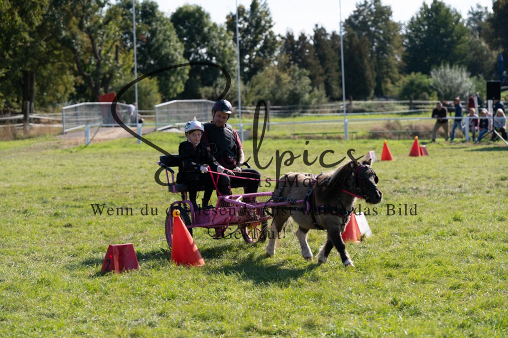 A7V04388 | Pferdefotograf