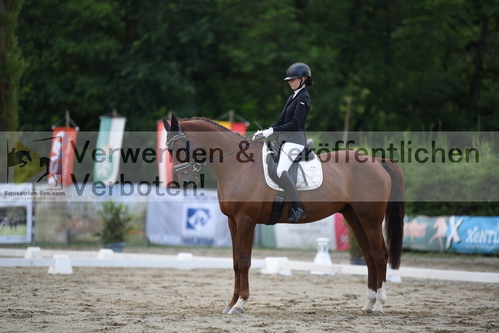 DSC_6594 | equestrian-live-com