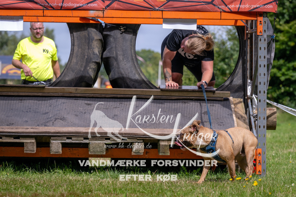 1204_ZZ93434 | kk-dogfotos