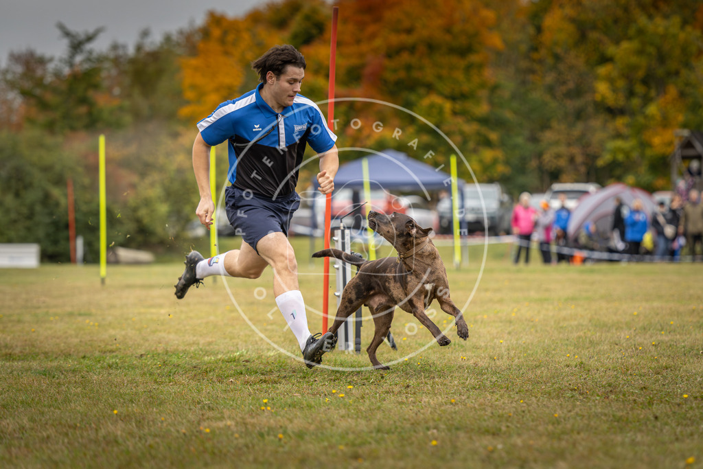 Pfotenfotografie_DV3A5622 | Hundefotografie, Tierfotograf, Pfotenfotografie, Fotoshooting Hund, Hunde Portrait, Hundesport, Hundeportraits, Heideshooting, Hunde, Sportfotograf, Hundefotograf, Turnierhundsport, THS,  - Realisiert mit Pictrs.com