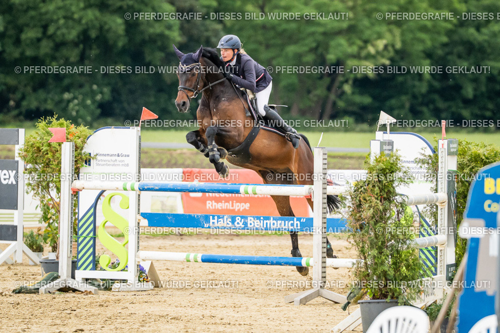 DSC06761 | Pferdegrafie