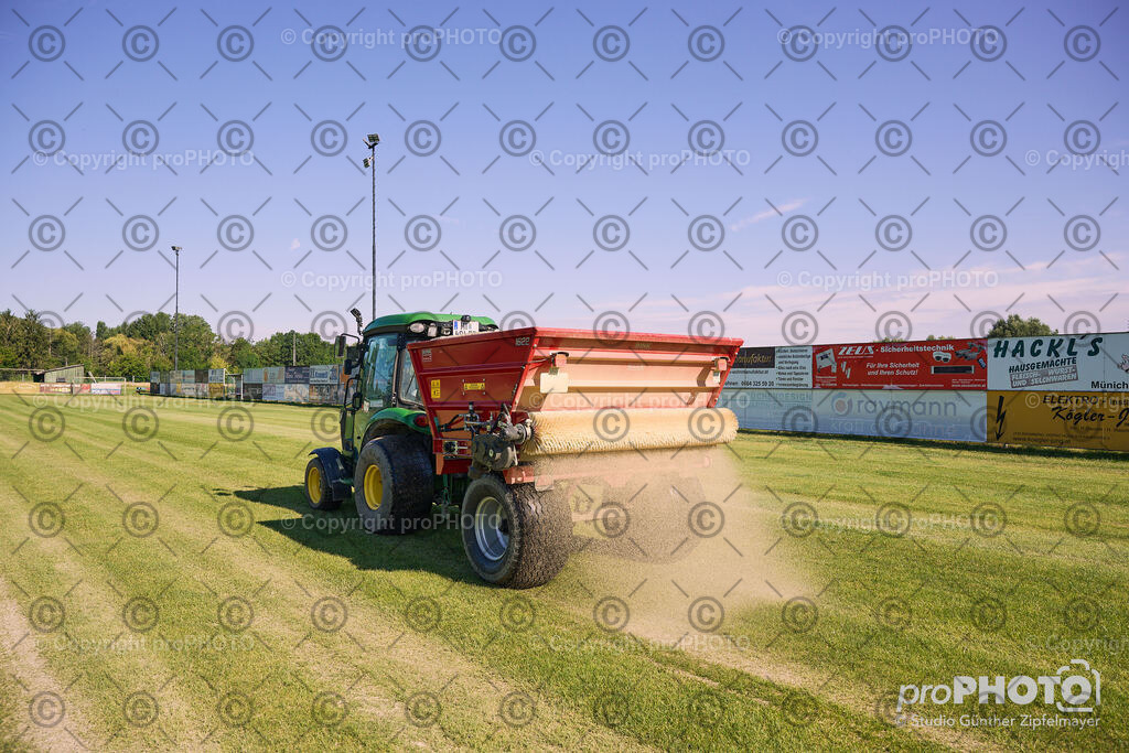 202507_Rernböck-Rasen_NZ9_1269 | proPHOTO - Realisiert mit Pictrs.com