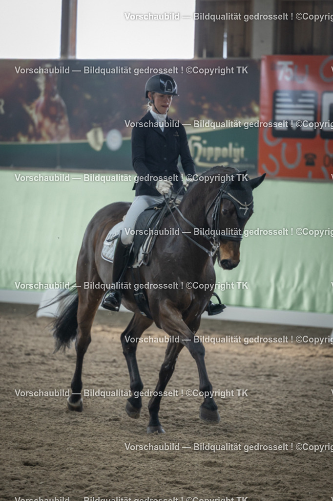 _D5A4474 | Emotionale Pferde- & People-Fotografie rund um Heidelberg, Leimen & Umgebung. Natürliche Fotos von Pferd, Mensch & Familie. Jetzt Termin sichern!