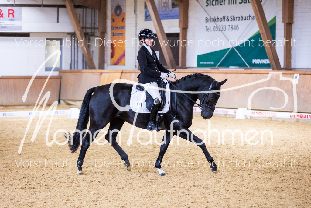 Sth-A-Dre-2St-133 | MomenTaufnahmen Pferdesportfotos