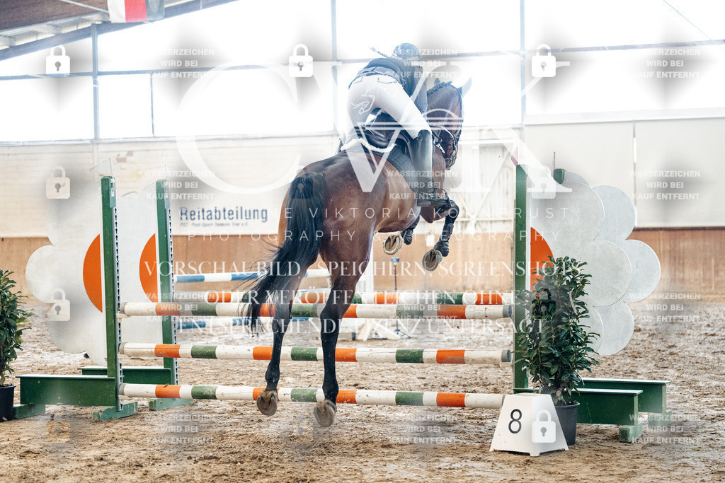 CK904666 | Turnierfotografie Pferdefotografie Trier Rheinland-Pfalz Pferdesport Reitsport Tierfotografie Sportfotografie Pferdevideo Pferdevideografie Equestrianvideography equestrianphotography  - Realized with Pictrs.com