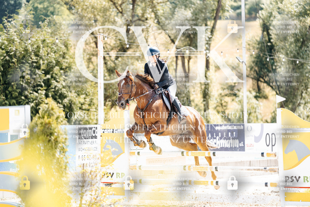 CK909216 | Turnierfotografie Pferdefotografie Trier Rheinland-Pfalz Pferdesport Reitsport Tierfotografie Sportfotografie Pferdevideo Pferdevideografie Equestrianvideography equestrianphotography  - Realisiert mit Pictrs.com