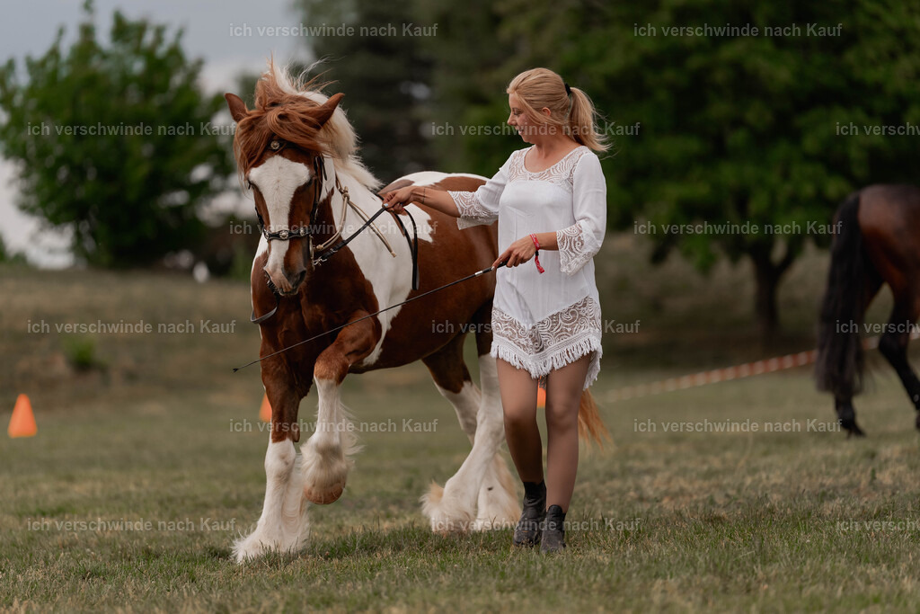 Showprogramm-444 | working equitationturnier fotograf videograf stoibphotography marixx film working equitation deutschland reitsport turnierfotografie eventfotografie equestrian events