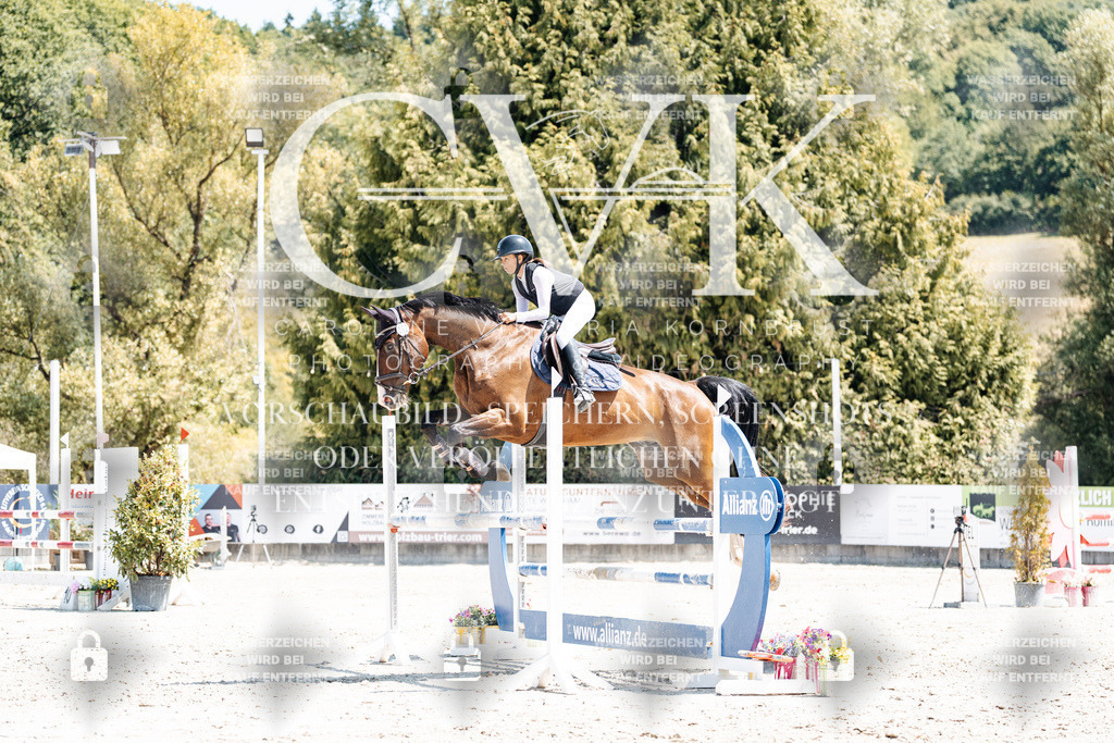 CK900342 | Turnierfotografie Pferdefotografie Trier Rheinland-Pfalz Pferdesport Reitsport Tierfotografie Sportfotografie Pferdevideo Pferdevideografie Equestrianvideography equestrianphotography  - Realisiert mit Pictrs.com