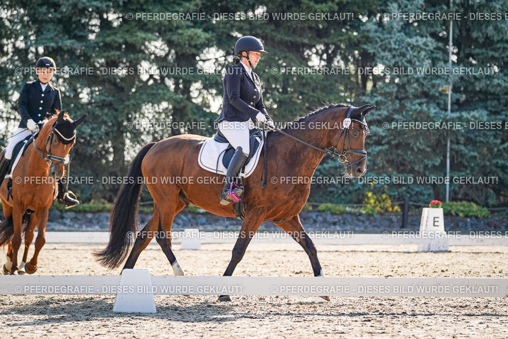 DSC09039 | Pferdegrafie