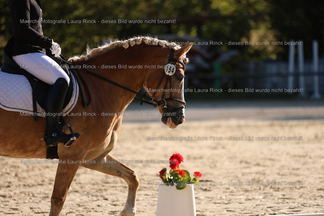 HG9A8178 | laurarinckfotografie - Realisiert mit Pictrs.com