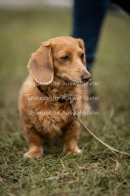 Bad_Meinberg_01044 | saradresslerfotografie - Realisiert mit Pictrs.com
