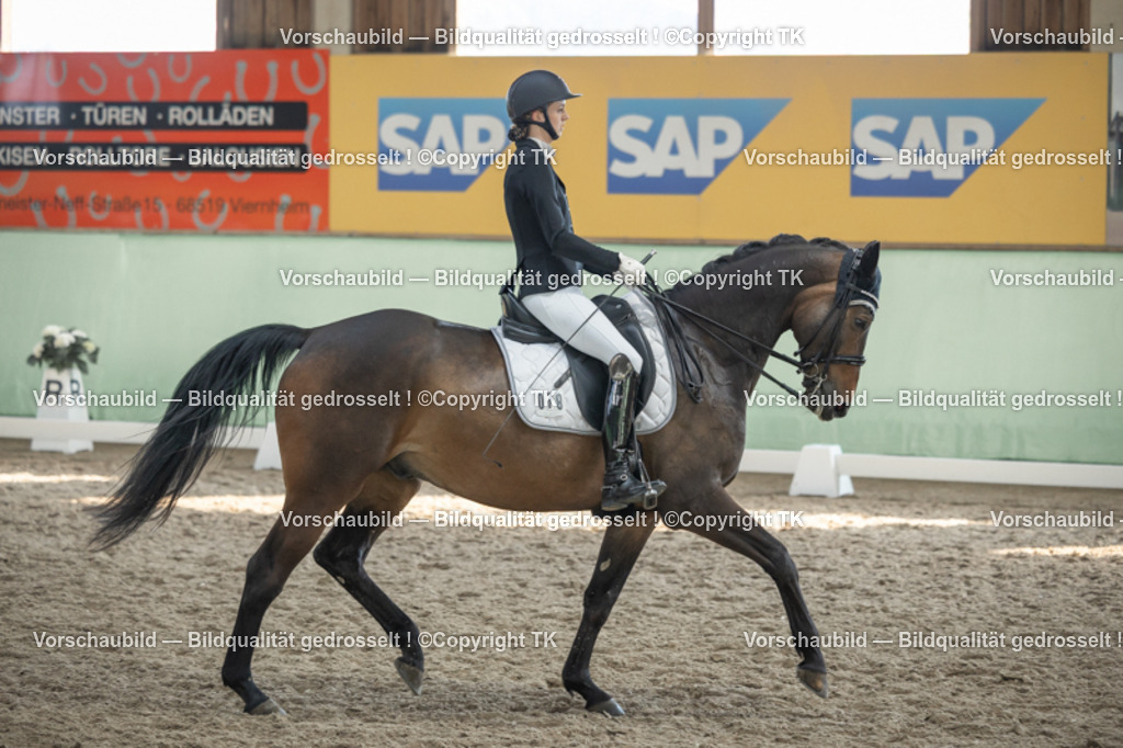 _D5A2955 | Emotionale Pferde- & People-Fotografie rund um Heidelberg, Leimen & Umgebung. Natürliche Fotos von Pferd, Mensch & Familie. Jetzt Termin sichern!