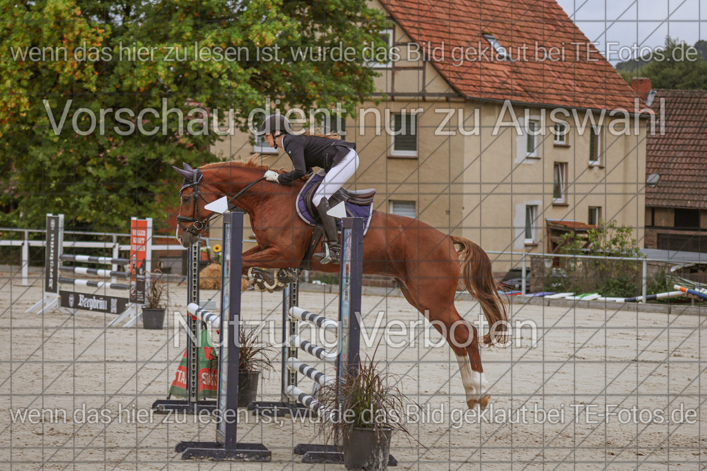 2025-09-22_09-38-39_MG_4065 | TE-Fotos