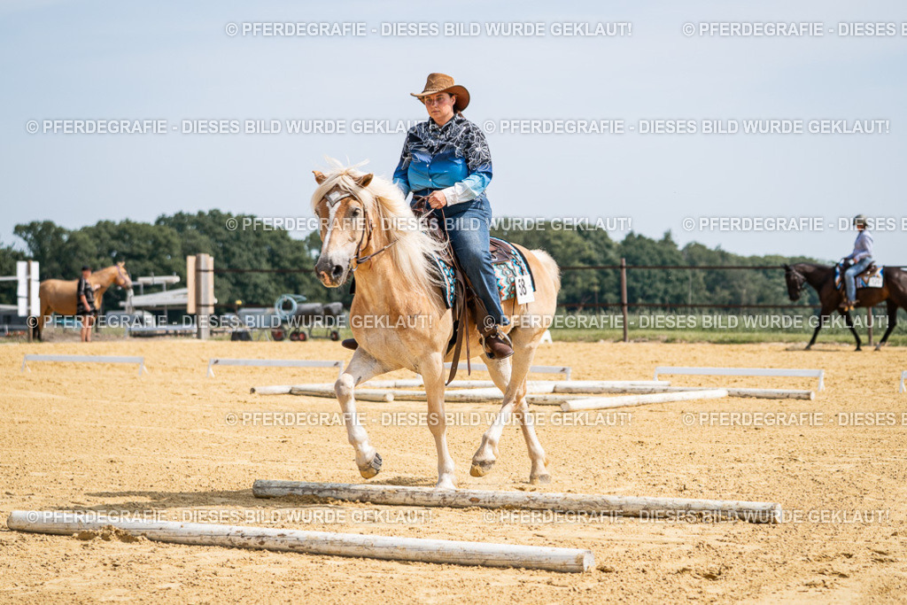 DSC09997 | Pferdegrafie