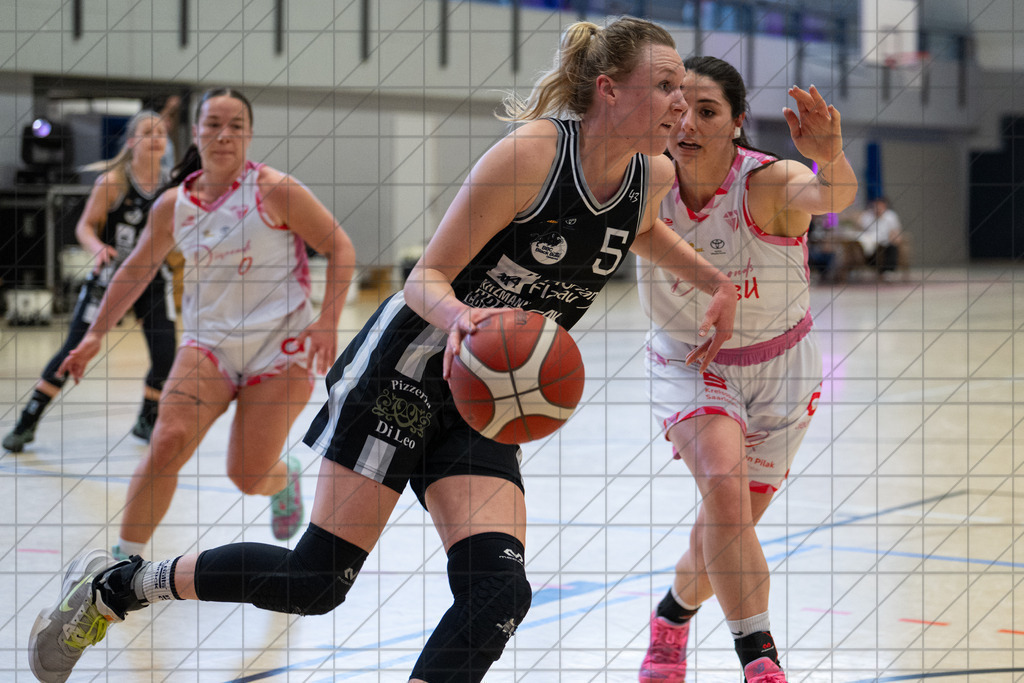 2. DBBL PlayOff 24/25 | 12.04.2025 | Dillingen Diamonds vs. BBC OS | 1/8-Finale, 2. Spiel  | 2. DBBL PlayOff 24/25 | 12.04.2025 | Dillingen Diamonds vs. BBC OS | 1/8-Finale, 2. Spiel  - - - - - CREDIT, www.bullenfotos.de, Martin König, Hörner Weg 40, D-49078 Osnabrück, +4917663732967, Nutzung und Weitergabe nur zu den vereinbarten Zwecken. Presseanfragen an Urheber. Alle Rechte beim Urheber. - - - - - - Realisiert mit Pictrs.com