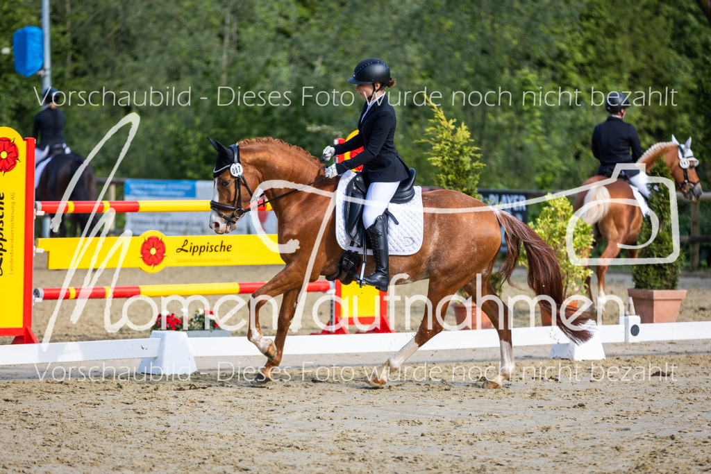 Donop24-A-Dre-084 | MomenTaufnahmen Pferdesportfotos