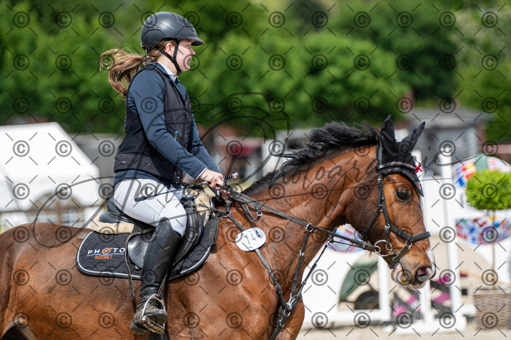 KPT_5666 | andre_photographic