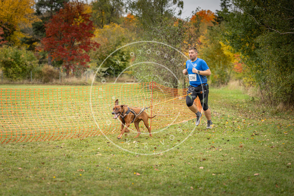 Pfotenfotografie_DV3A4431 | Hundefotografie, Tierfotograf, Pfotenfotografie, Fotoshooting Hund, Hunde Portrait, Hundesport, Hundeportraits, Heideshooting, Hunde, Sportfotograf, Hundefotograf, Turnierhundsport, THS,  - Realisiert mit Pictrs.com