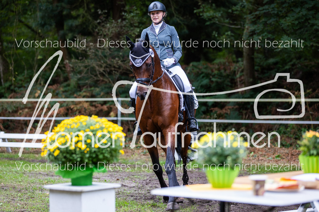 HB-A-Dressur-101 | MomenTaufnahmen Pferdesportfotos