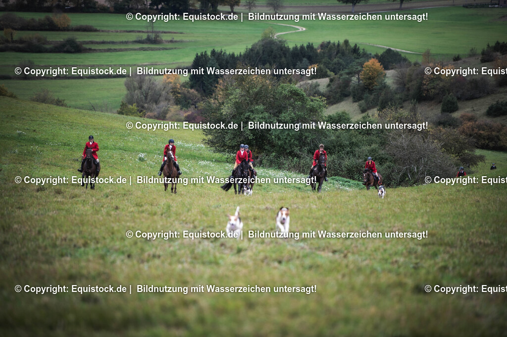 20241013_Jagd-Marbach_0208 | Foto: Thomas Hartig