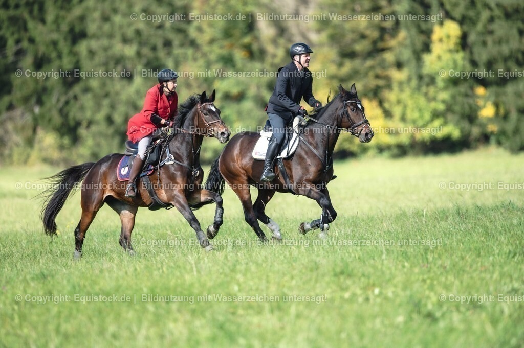 20251011_Jagd-Marbach_0207 | Foto: Thomas Hartig