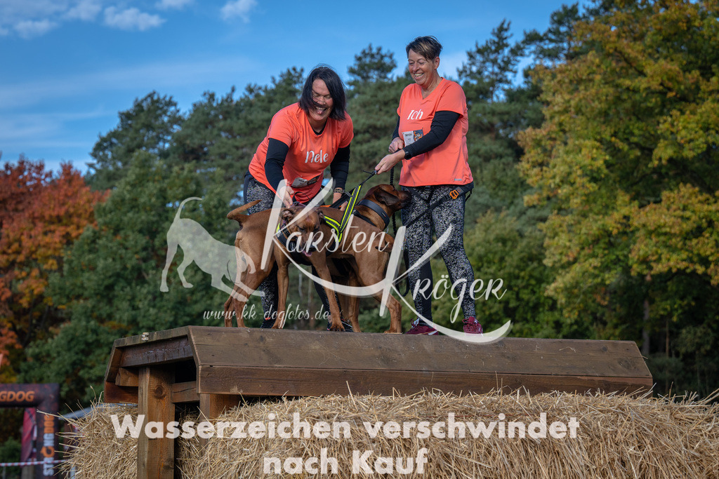 1015_ZZ92834 | kk-dogfotos
