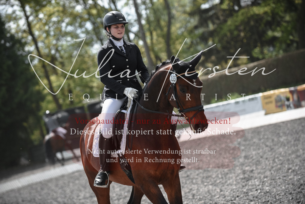 20230513_JK-Röhrsdorf-14-790 | Pferde- und Turnierfotografie in Westsachsen. Pferdeportraits, Auftragszeichnungen und intuitive Kunst.