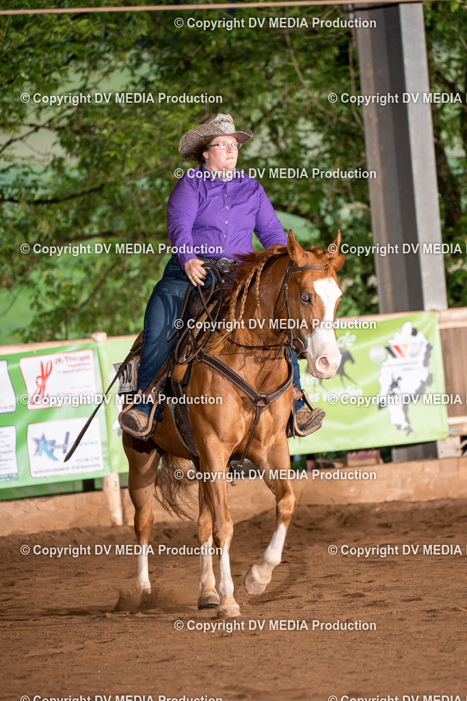 Erbach Tag 4-877 | dv-media-shop - Realisiert mit Pictrs.com