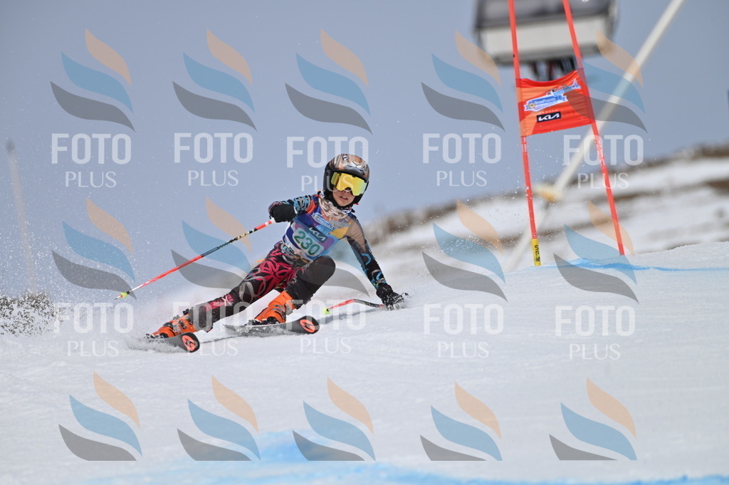 BGV_4545 | holidayphoto