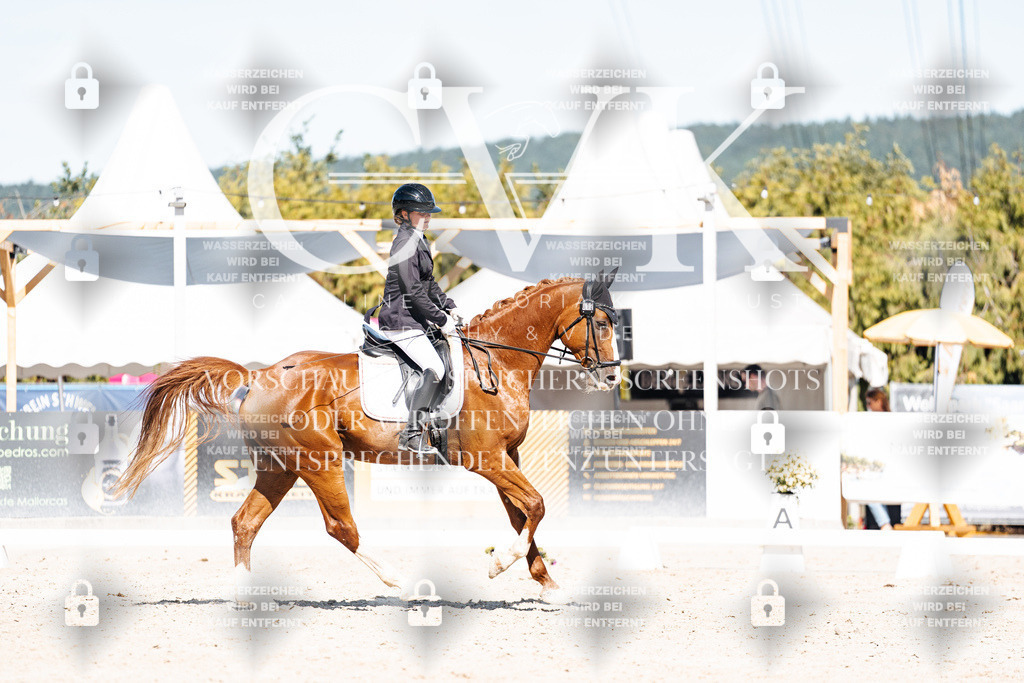 CK908850 | Turnierfotografie Pferdefotografie Trier Rheinland-Pfalz Pferdesport Reitsport Tierfotografie Sportfotografie Pferdevideo Pferdevideografie Equestrianvideography equestrianphotography  - Realisiert mit Pictrs.com