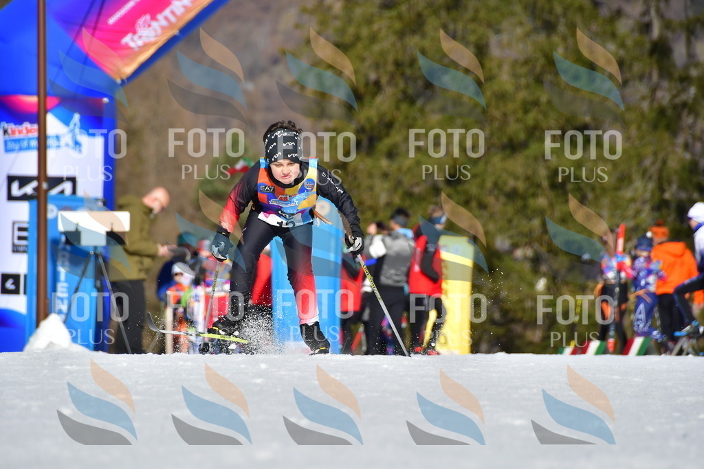 _DSC8718 | holidayphoto