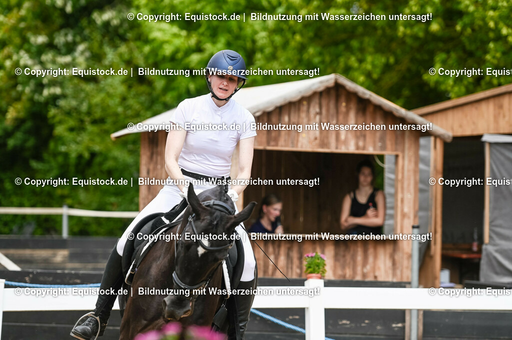 20230715_05_Dressurprüfung Kl.A++_0280 | equistock