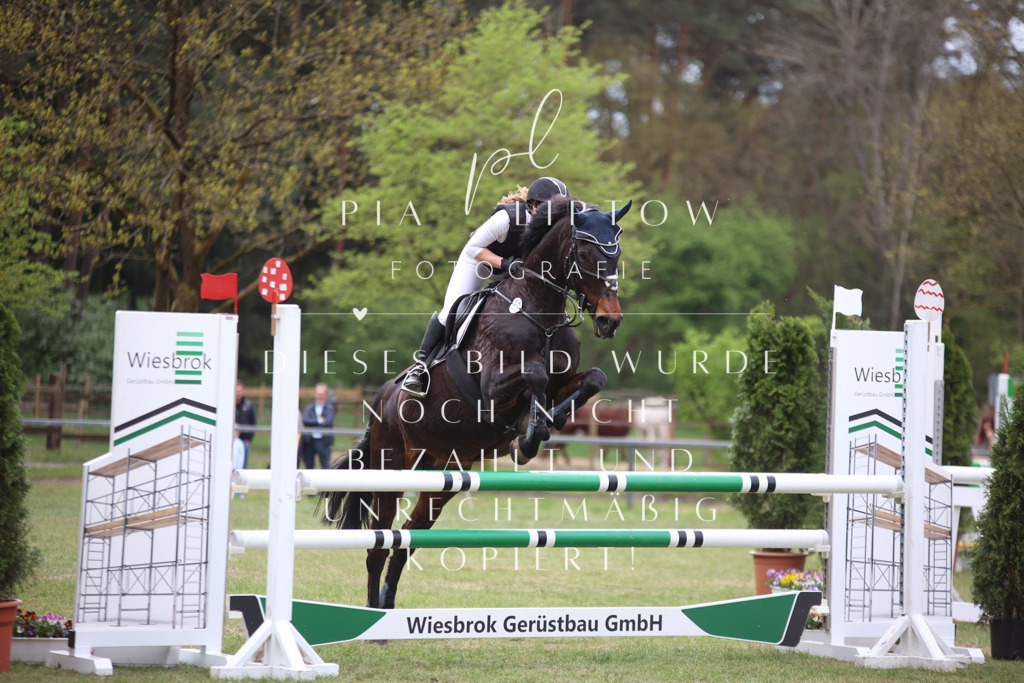 IMGT1969 | pl-fotografie