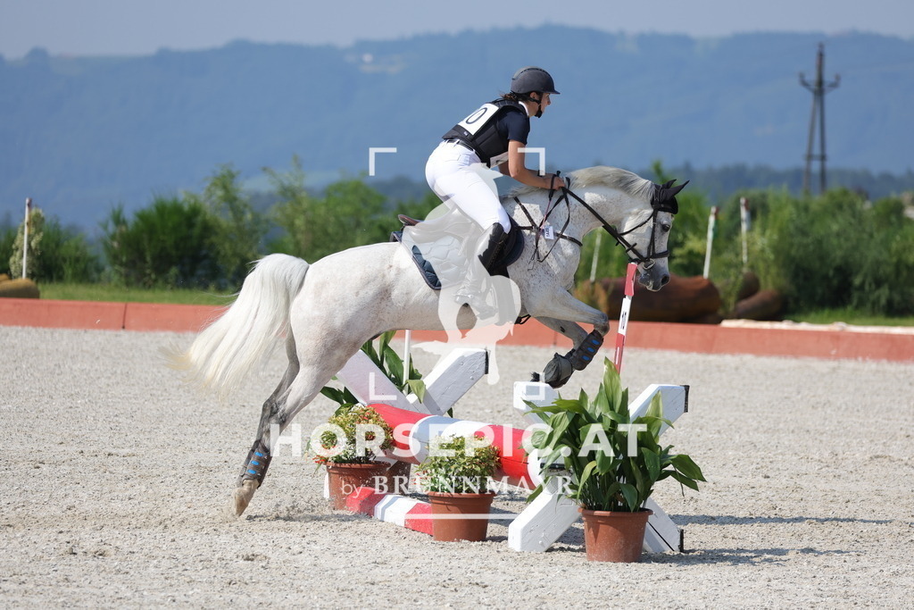0P6A7633 | Willkommen bei Brunnmayr - Design & Fotografie – Ihrem Spezialisten für Reitturniere und Pferdeveranstaltungen in Oberösterreich, Salzburg und Bayern! Seit über 17 Jahren sind wir leidenschaftlich dabei.