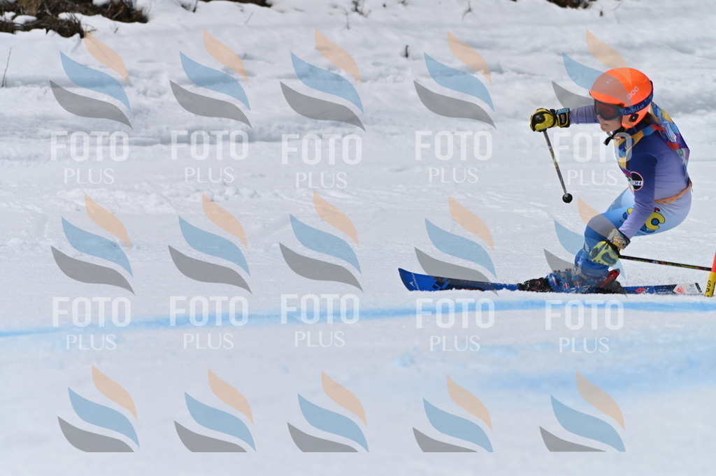 BGV_7080 | holidayphoto