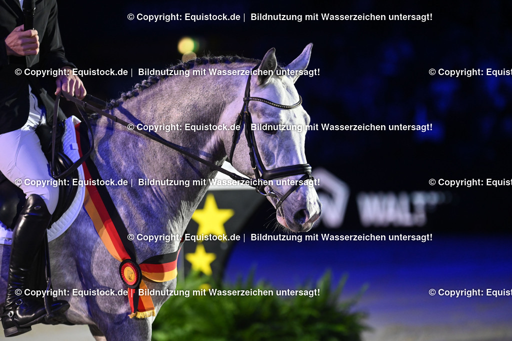 20241114_Ehrung Championatspferde_TOMsPiC_0093 | Foto: Thomas Hartig