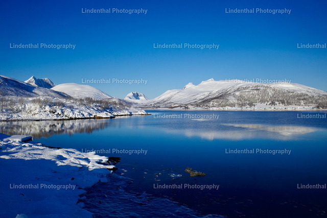 Norwegen Fjord auf Insel Senja | Lindenthal.ART - Fotografie und Kunstdrucke auf verschiedenen Medien für dein Zuhause, Büro oder Praxis. Natur und Landschaftsbilder oder Digital ART mit harmonischen Farben und Motiven. - Realisiert mit Pictrs.com