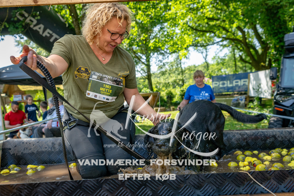 1313_ZZ90798 | kk-dogfotos