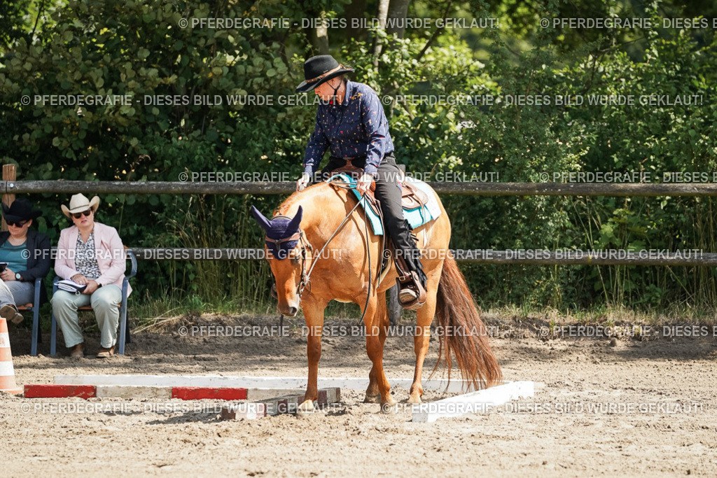 DSC06827 | Pferdegrafie