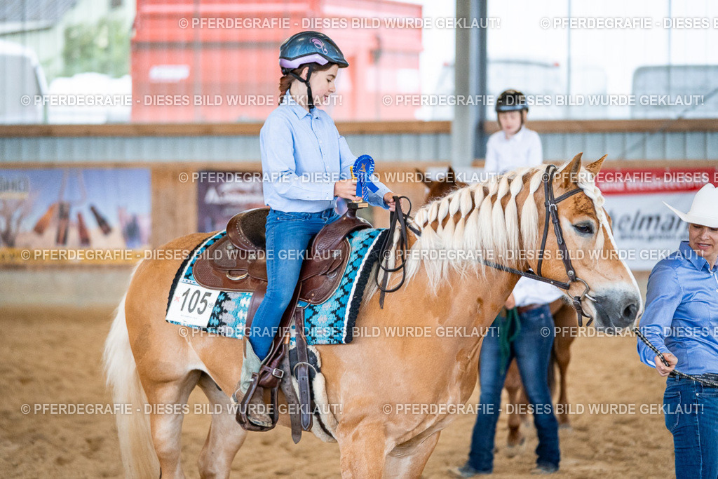 DSC01057 | Pferdegrafie