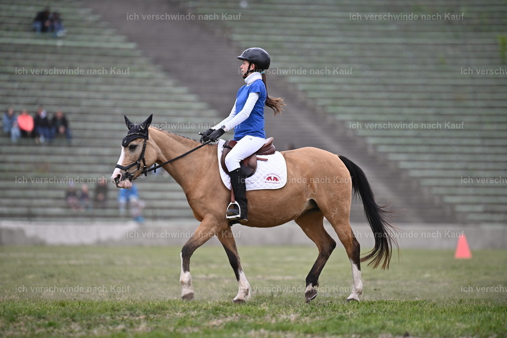 PI26_Show_Sara_Landvogt_226_1627.JPG | working equitationturnier fotograf videograf stoibphotography marixx film working equitation deutschland reitsport turnierfotografie eventfotografie equestrian events