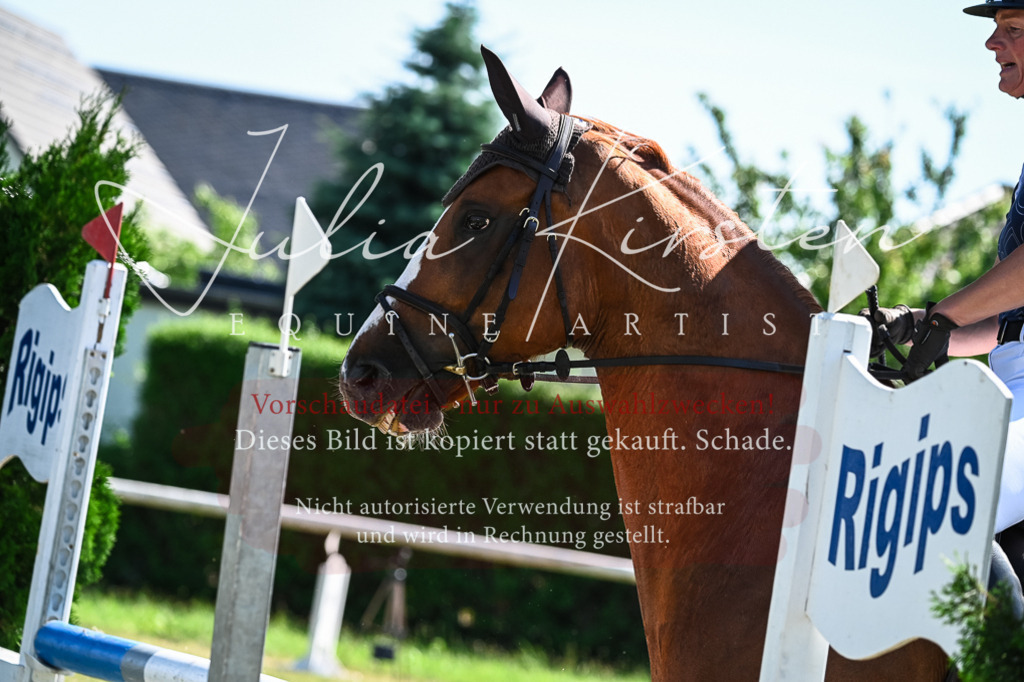 DSC_1577 | Pferde- und Turnierfotografie in Westsachsen. Pferdeportraits, Auftragszeichnungen und intuitive Kunst.