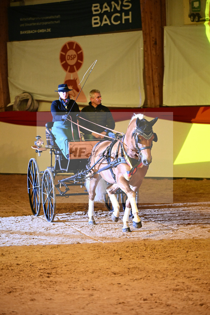 Avici Ass_2242183 | hf-fotografie - Realisiert mit Pictrs.com