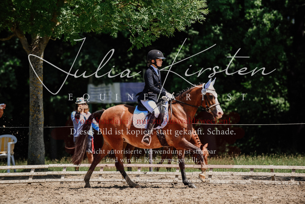 DSC_1964 | Pferde- und Turnierfotografie in Westsachsen. Pferdeportraits, Auftragszeichnungen und intuitive Kunst.