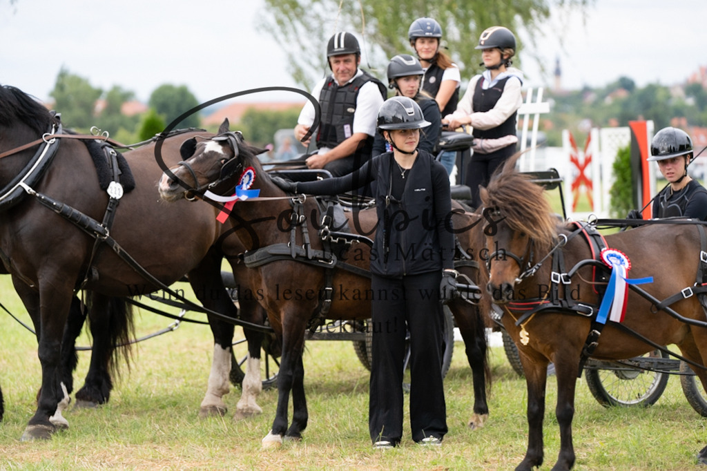 A7V06186 | Pferdefotograf