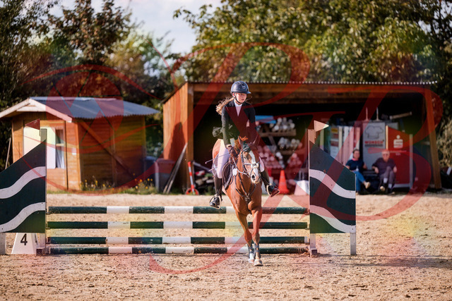 2026_10_03_Siefer-Hof_155806_Z81_77911857 | Professionelle Reitsport-, Turnier- und Eventfotografie von Robert Broda. Galerien mit ausgewählten und bearbeiteten Bildern direkt online ansehen und bestellen.