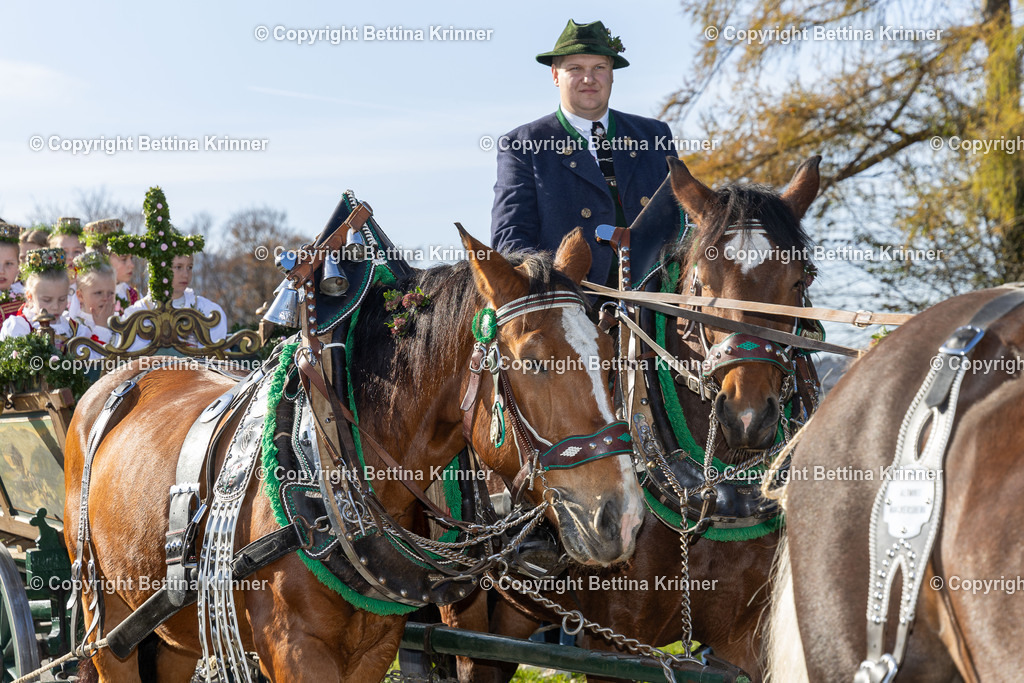 LBT24-1178 | foto-bettina-krinner - Realisiert mit Pictrs.com